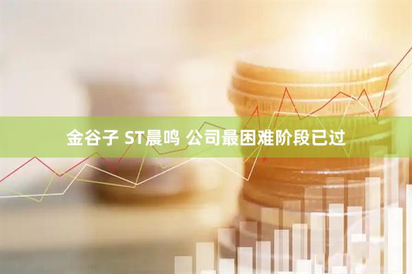 金谷子 ST晨鸣 公司最困难阶段已过