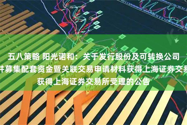 五八策略 阳光诺和:关于发行股份及可转换公司债券购买资产并募集配套资金暨关联交易申请材料获得上海证券交易所受理的公告