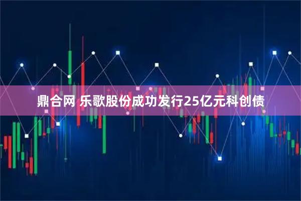 鼎合网 乐歌股份成功发行25亿元科创债