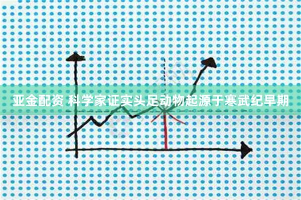亚金配资 科学家证实头足动物起源于寒武纪早期